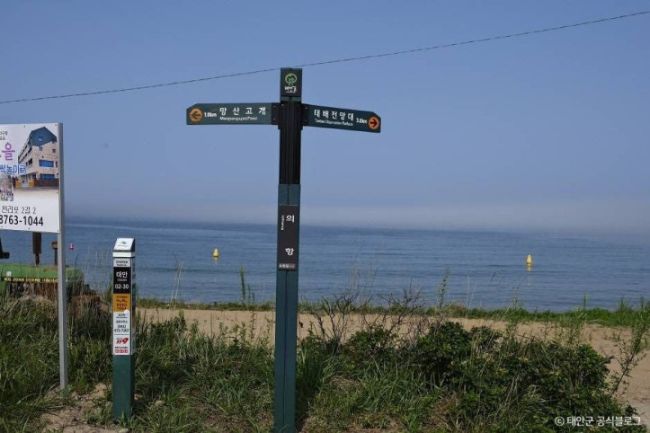 의항해수욕장 여행 추천 - 메고지고