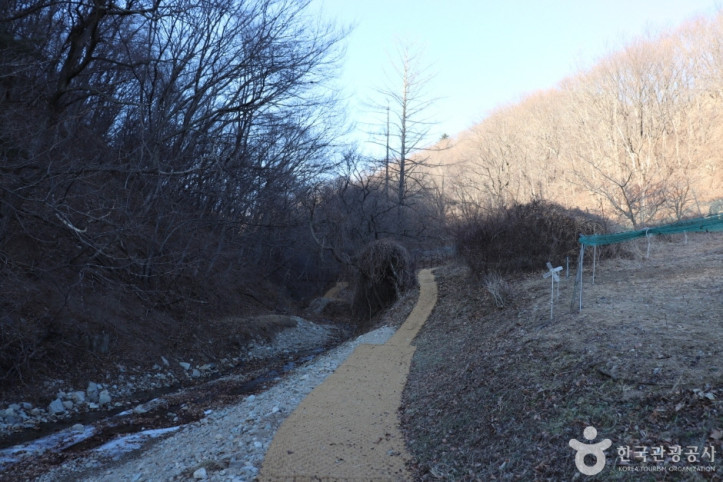 경주 왕의 길 여행 추천 - 메고지고