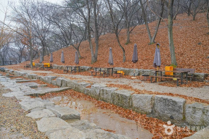 헤이리농원 여행 추천 - 메고지고