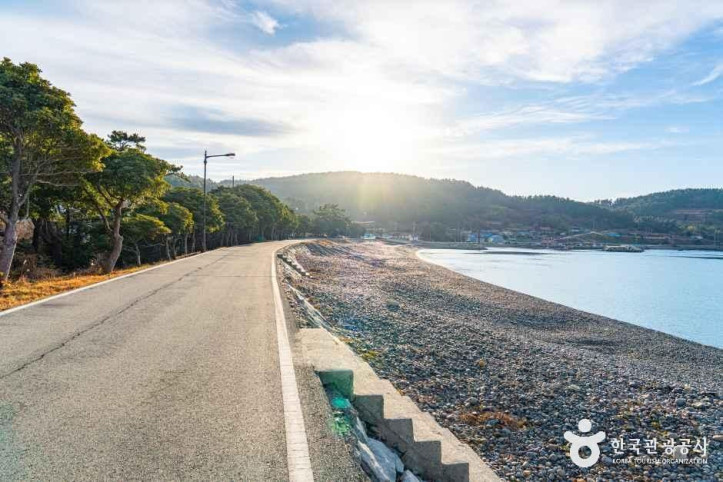 진산리해수욕장 여행 추천 - 메고지고
