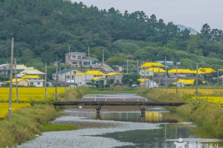 하의도 여행 추천 - 메고지고