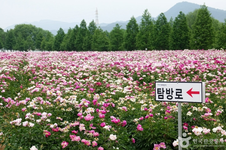 핫들생태공원 여행 추천 - 메고지고