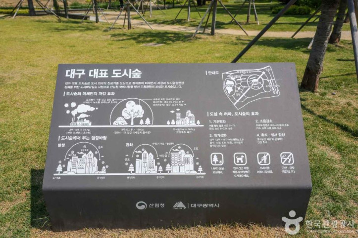 대구 대표 도시숲 여행 추천 - 메고지고