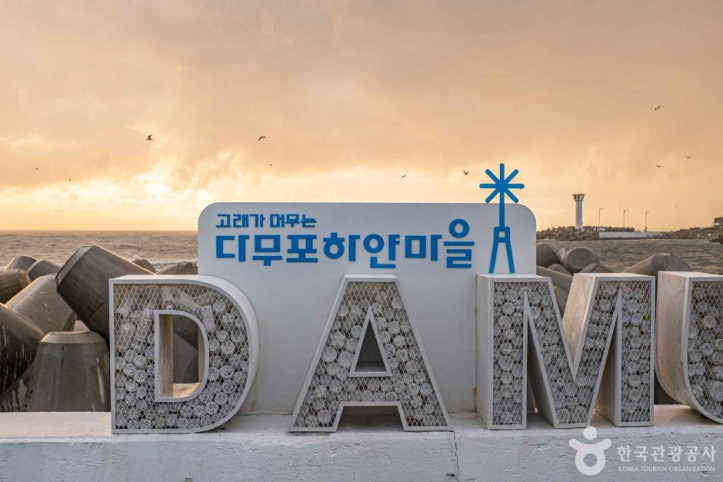 다무포하얀마을 여행 추천 - 메고지고