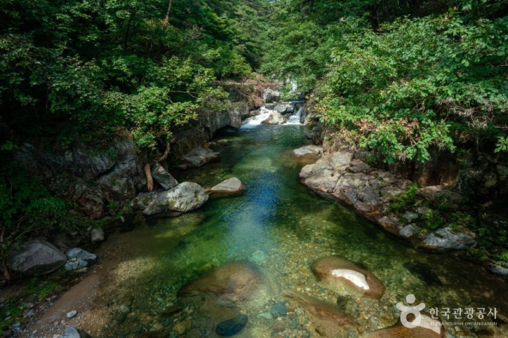 홍류동계곡 여행 추천 - 메고지고
