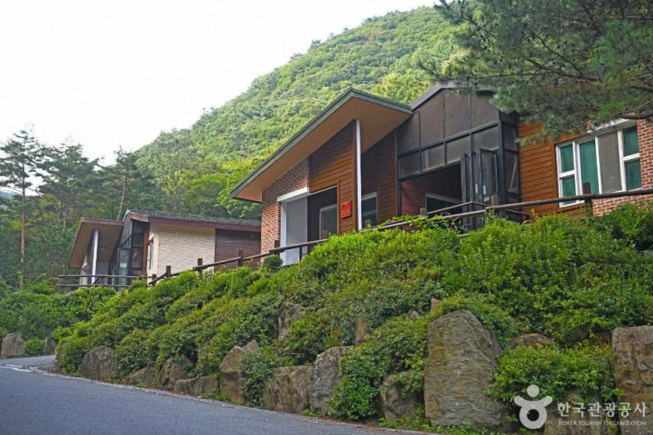 망경대산자연휴양림 여행 추천 - 메고지고