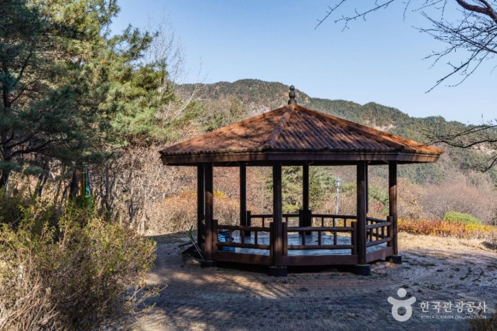 성주봉자연휴양림 여행 추천 - 메고지고