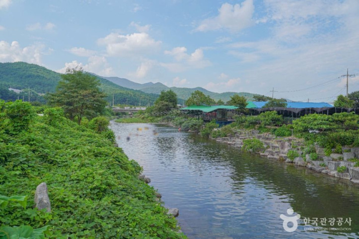 동가리계곡 여행 추천 - 메고지고