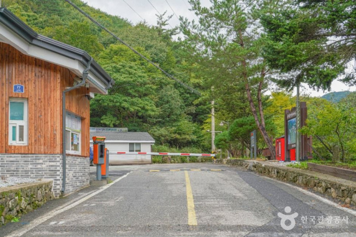 국립 운장산자연휴양림 여행 추천 - 메고지고