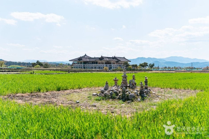 분황사 청보리밭 여행 추천 - 메고지고