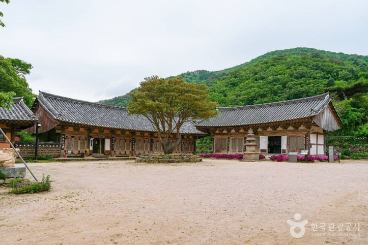 기림사 여행 추천 - 메고지고