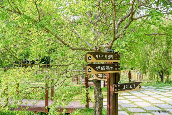 통영RCE세자트라숲 여행 추천 - 메고지고