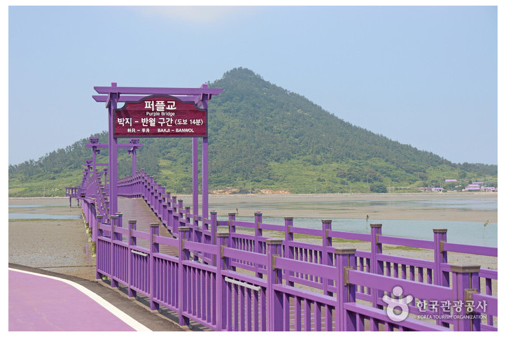퍼플교 여행 추천 - 메고지고