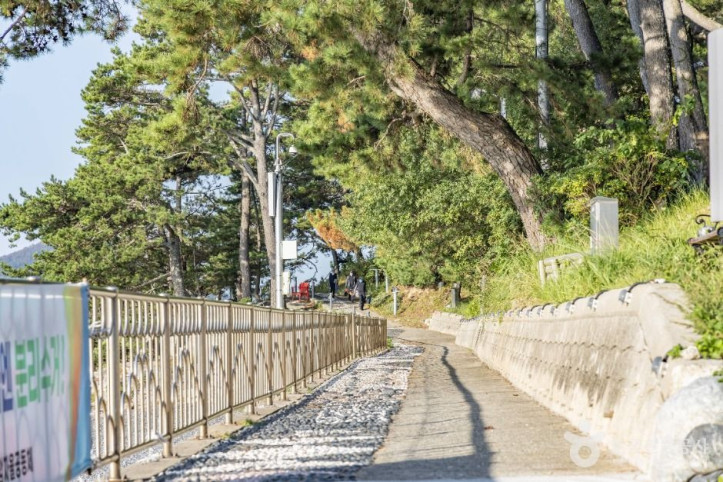 봉암해수욕장 여행 추천 - 메고지고
