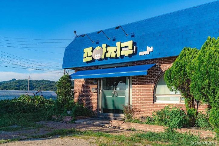 주식회사조아지구 여행 추천 - 메고지고