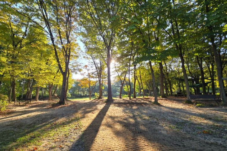 [서울둘레길 10코스] 우면산코스 여행 추천 - 메고지고