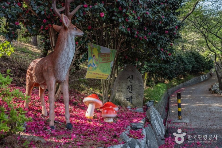 신선대(부산) 여행 추천 - 메고지고