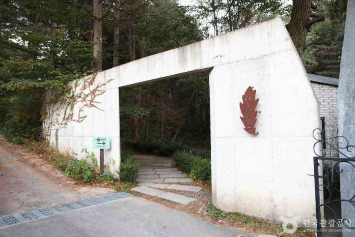 서후리숲 여행 추천 - 메고지고