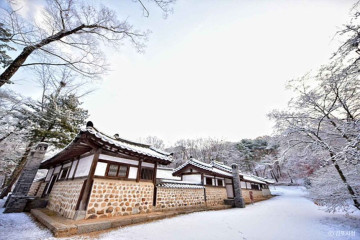 치유농장 뒤란 여행 추천 - 메고지고
