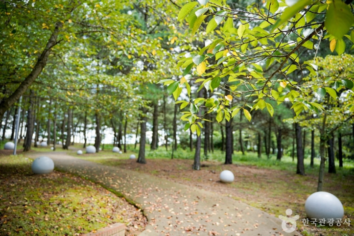물너울공원 여행 추천 - 메고지고