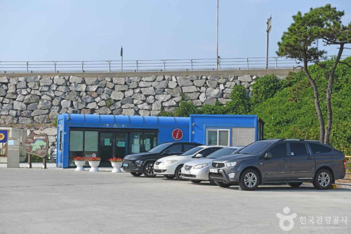 장자도여객터미널 여행 추천 - 메고지고