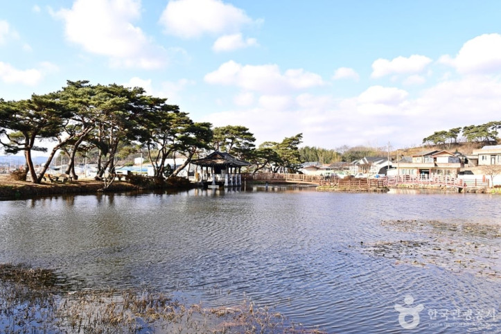 원곡제 여행 추천 - 메고지고