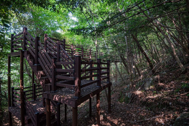 거금생태숲 여행 추천 - 메고지고