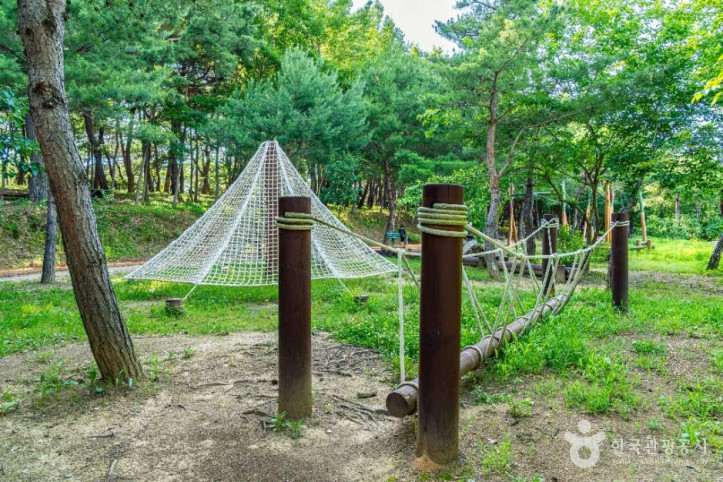 천년숲 여행 추천 - 메고지고