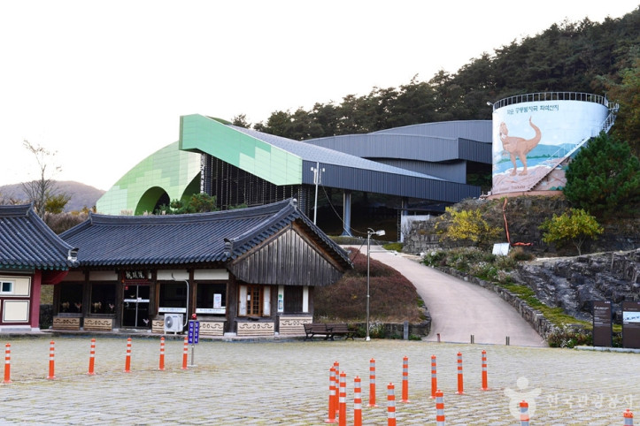 화순 서유리 공룡발자국화석 산지 여행 추천 - 메고지고