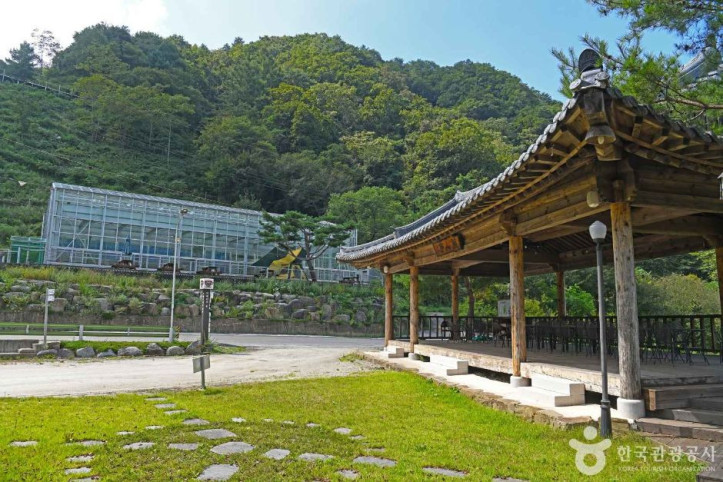 고로쇠마을(미산마을) 여행 추천 - 메고지고