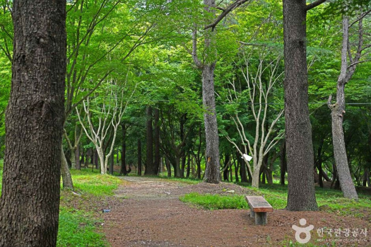 내장산수목원 여행 추천 - 메고지고