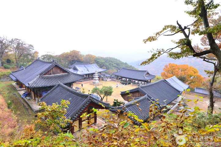 원효사(광주) 여행 추천 - 메고지고