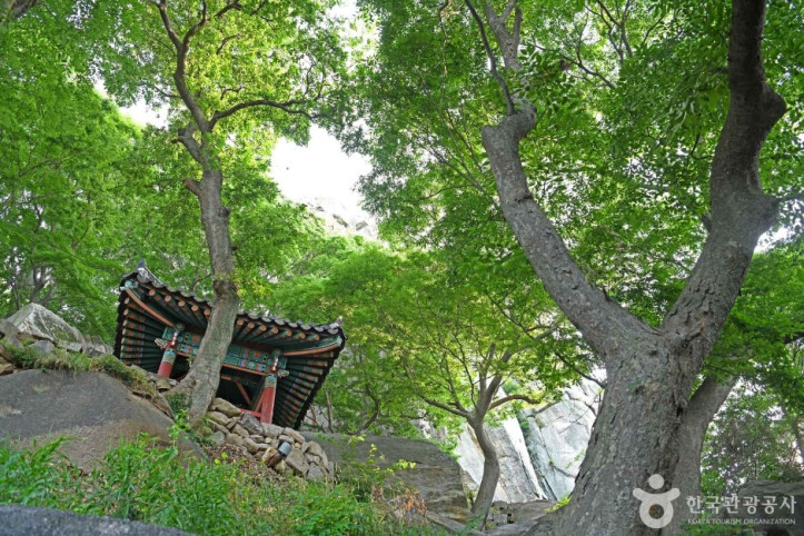 죽사(서산) 여행 추천 - 메고지고