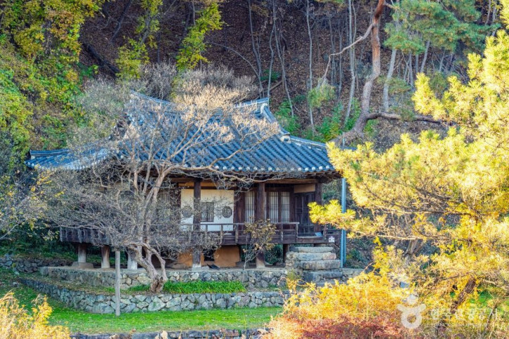 안동 체화정 여행 추천 - 메고지고
