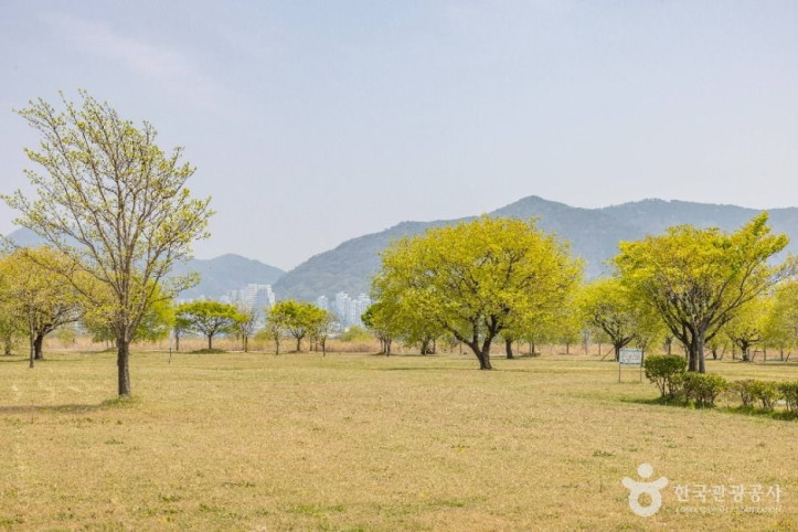 맥도생태공원 여행 추천 - 메고지고