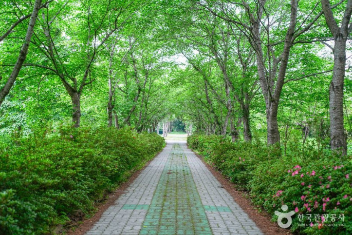 경상북도 산림환경연구원 여행 추천 - 메고지고