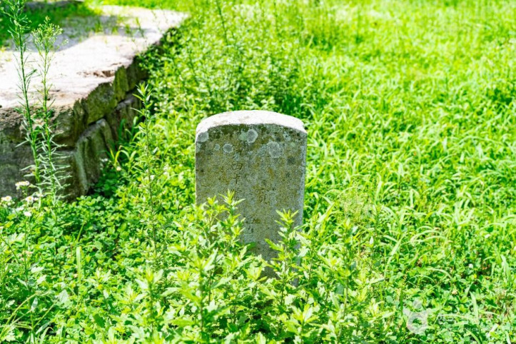 경주 정혜사지 십삼층석탑 여행 추천 - 메고지고