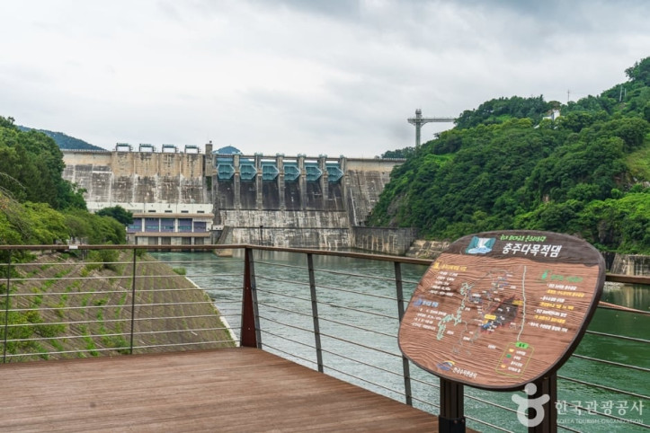 충주댐 벚꽃길 여행 추천 - 메고지고