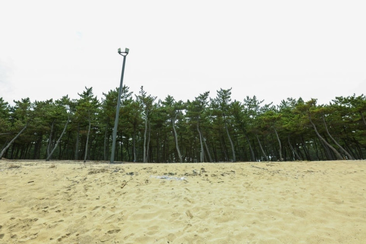 순포해변 여행 추천 - 메고지고