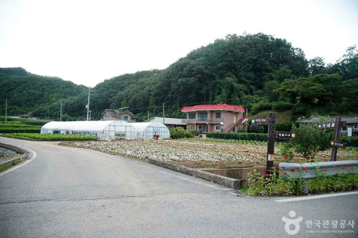 국지산 여행 추천 - 메고지고
