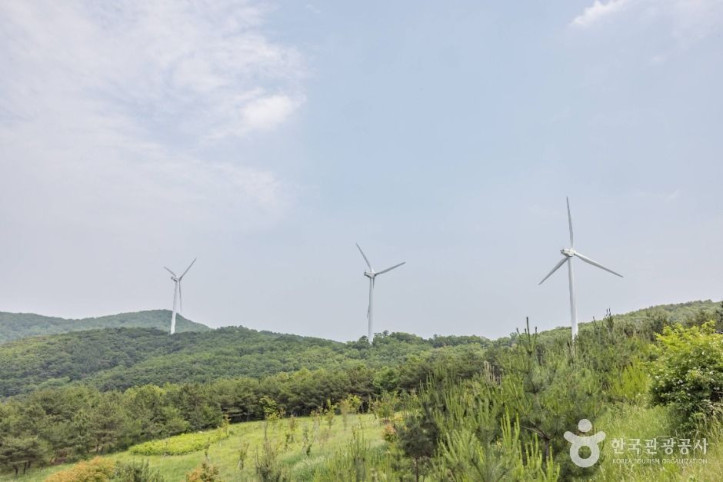 경주 풍력발전(바람의언덕) 여행 추천 - 메고지고
