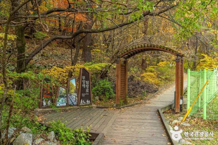 설악산 오색주전골 여행 추천 - 메고지고