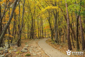 성국사 여행 추천 - 메고지고