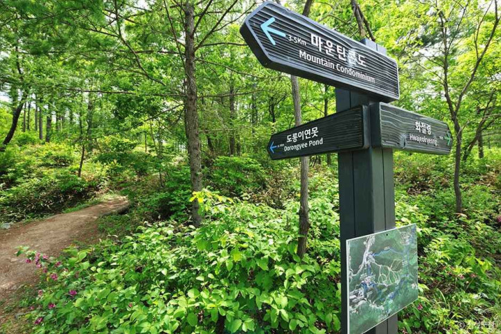 도롱이연못 여행 추천 - 메고지고