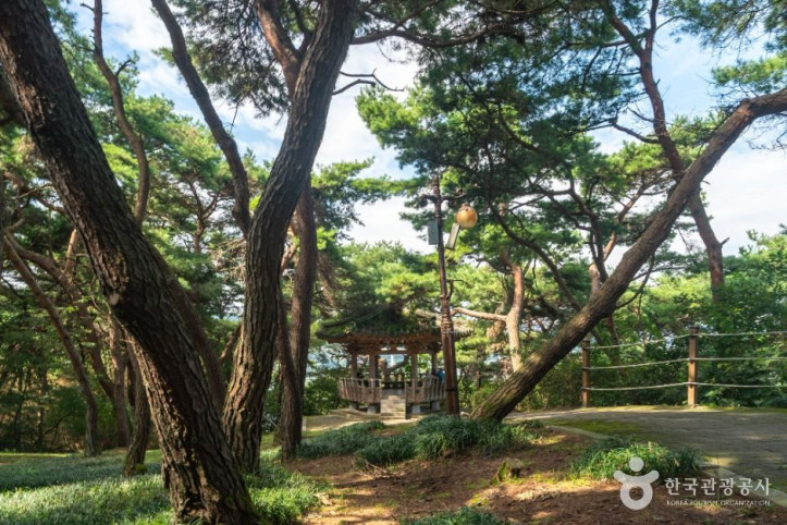 충주 탄금대 여행 추천 - 메고지고