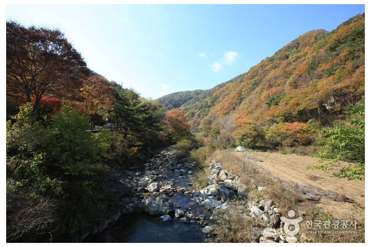 치악산국립공원 여행 추천 - 메고지고