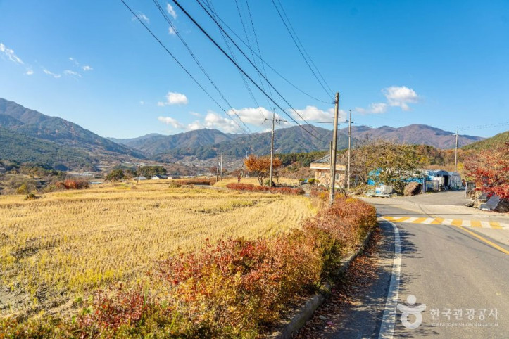 상황마을 여행 추천 - 메고지고