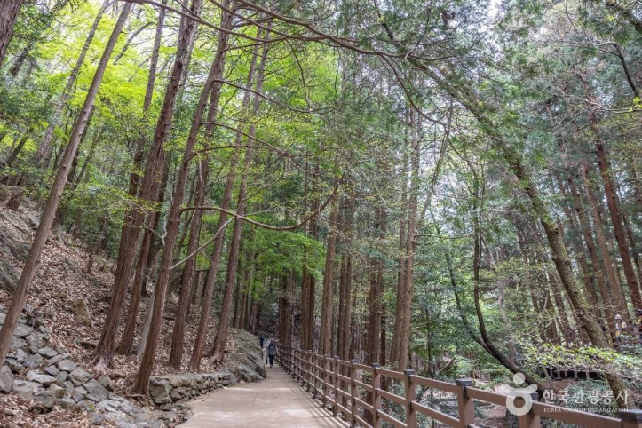 성지곡수원지 여행 추천 - 메고지고