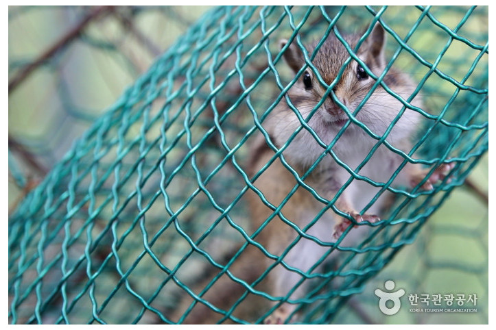 고운식물원 여행 추천 - 메고지고