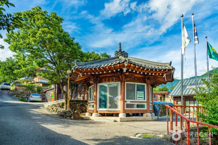 하동 삼신녹차마을 여행 추천 - 메고지고